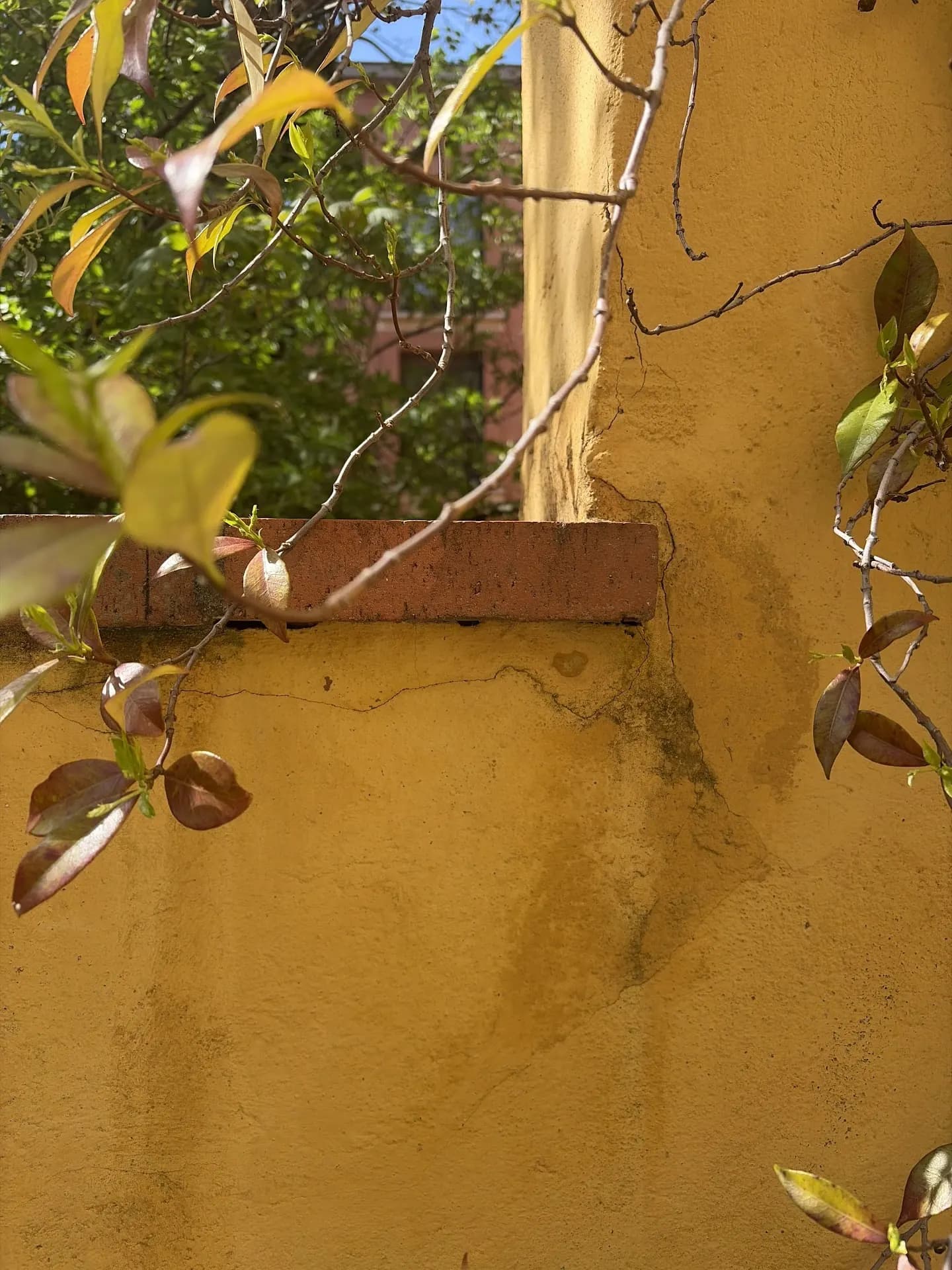 Fissure structurelle sur un mur toulousain — diagnostic IPB Haute-Garonne